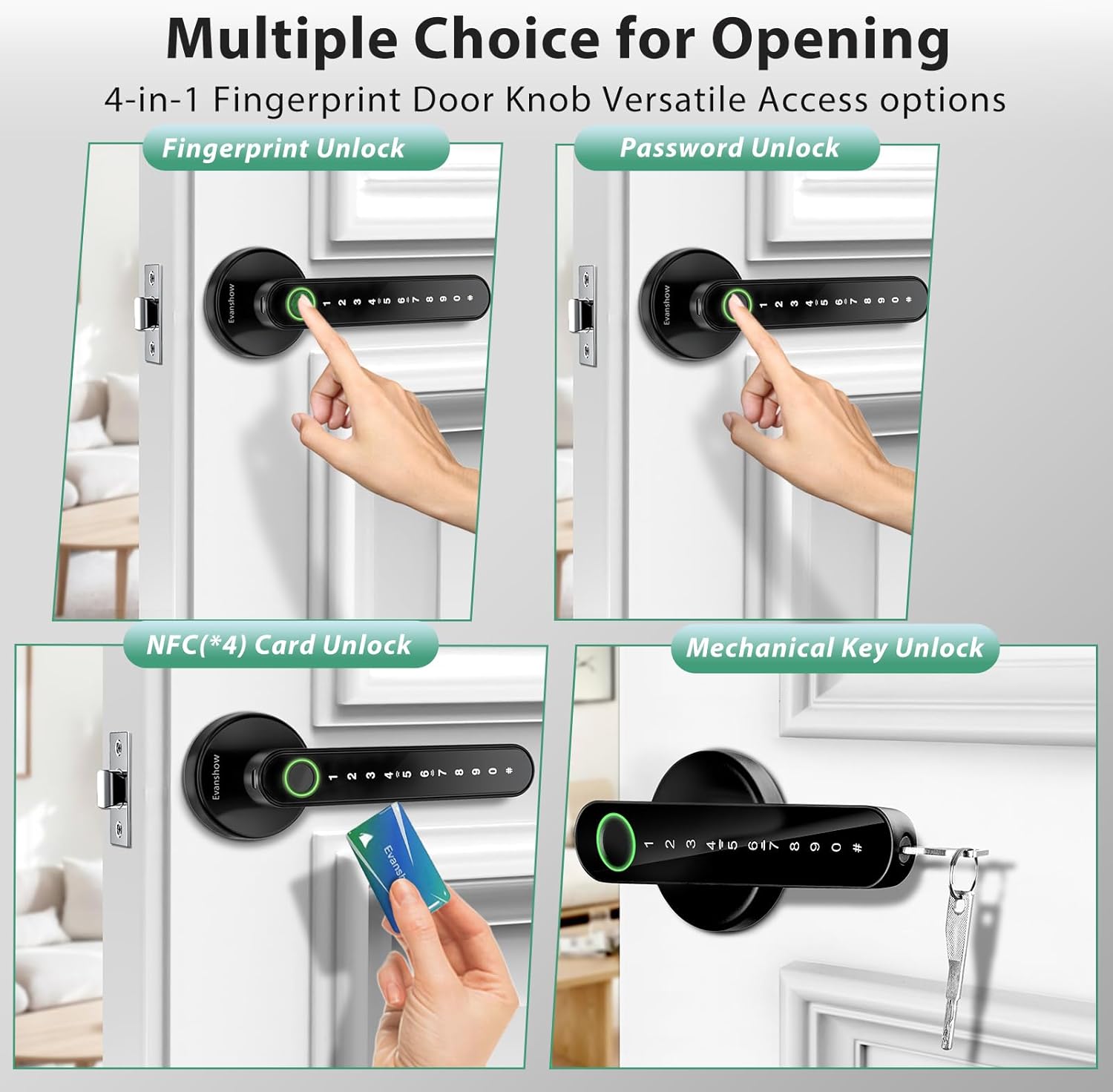 Black Fingerprint Entry Door Lever
