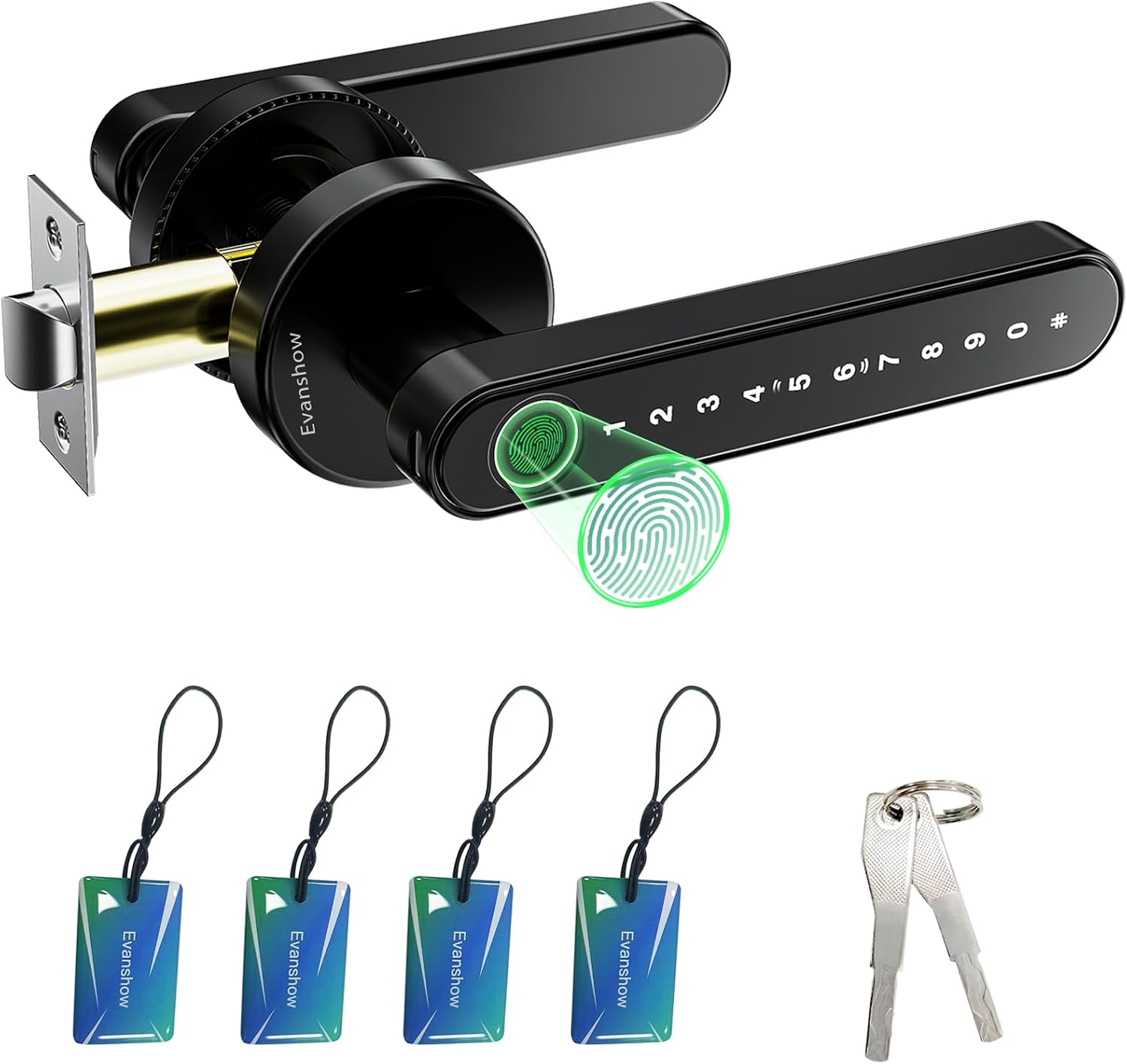 Black Fingerprint Entry Door Lever